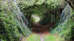 19073 green tunnel (Hohlweg im Mergelland)