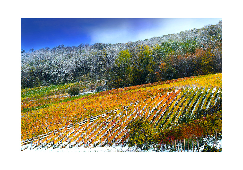 First Snow ... von Martin Lohr