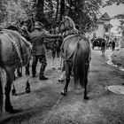 "...19:10, 19.06.19, Gütsch, Bruderschaft der Herrgottskanoniere..."