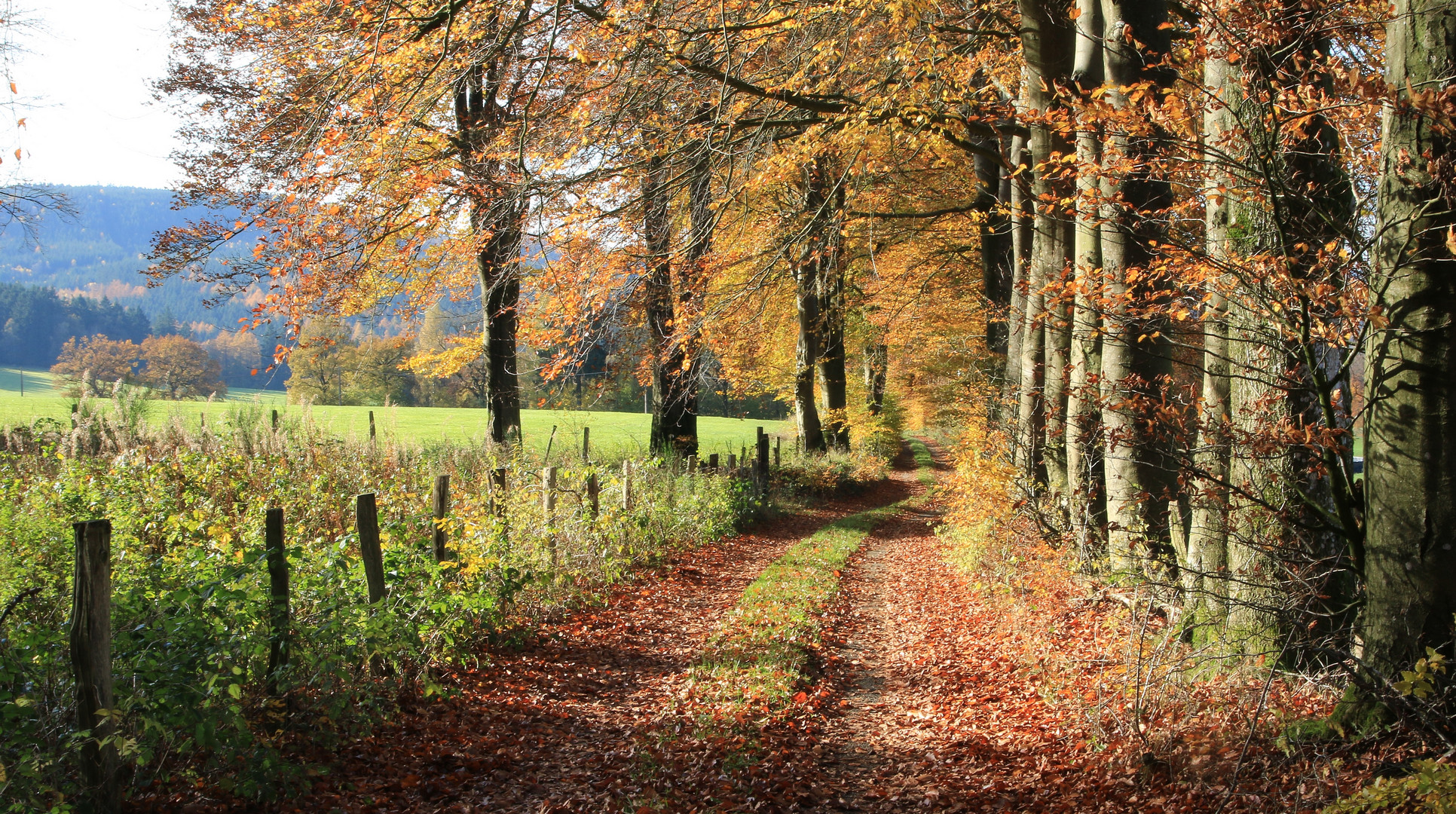 19110 Herbst bei Ondenval