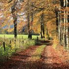 19110 Herbst bei Ondenval