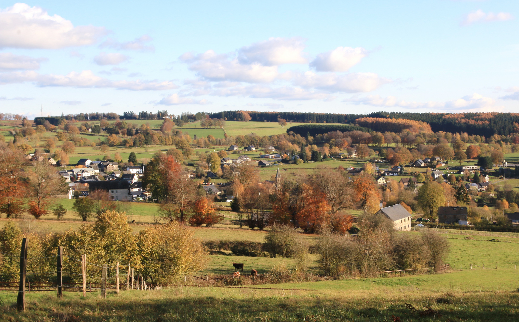 19118 Herbst in Ostbelgien