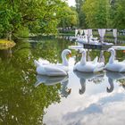 1914SC Schloss Bückeburg Landpartie White Partie