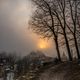 Nebelstimmung am Rhrenweg in Hohnstein