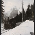 1923 im Bayerischen Wald