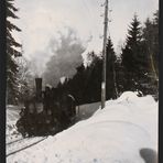 1923 im Bayerischen Wald