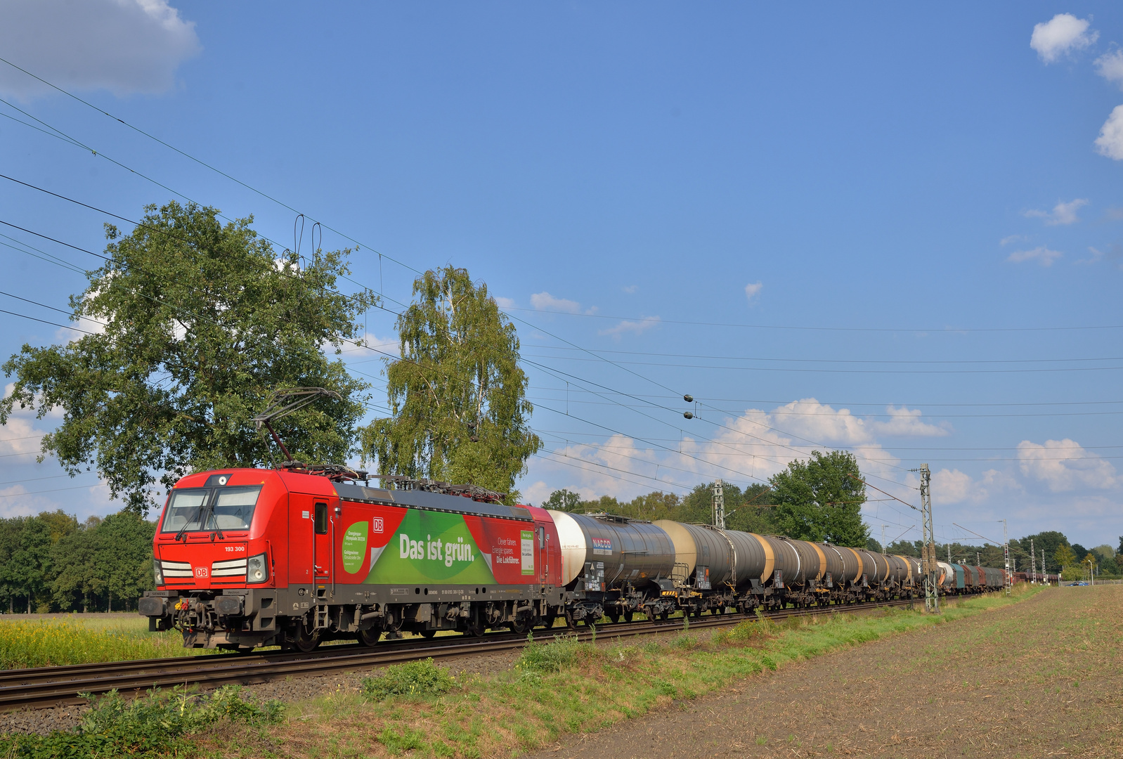 193 300 --Das ist grün-- am 31.08.19 in Hamm Neustadt