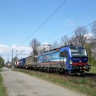 193 521 --SBB Cargo International-- am 14.04.21 in Leverkusen Alkenrath