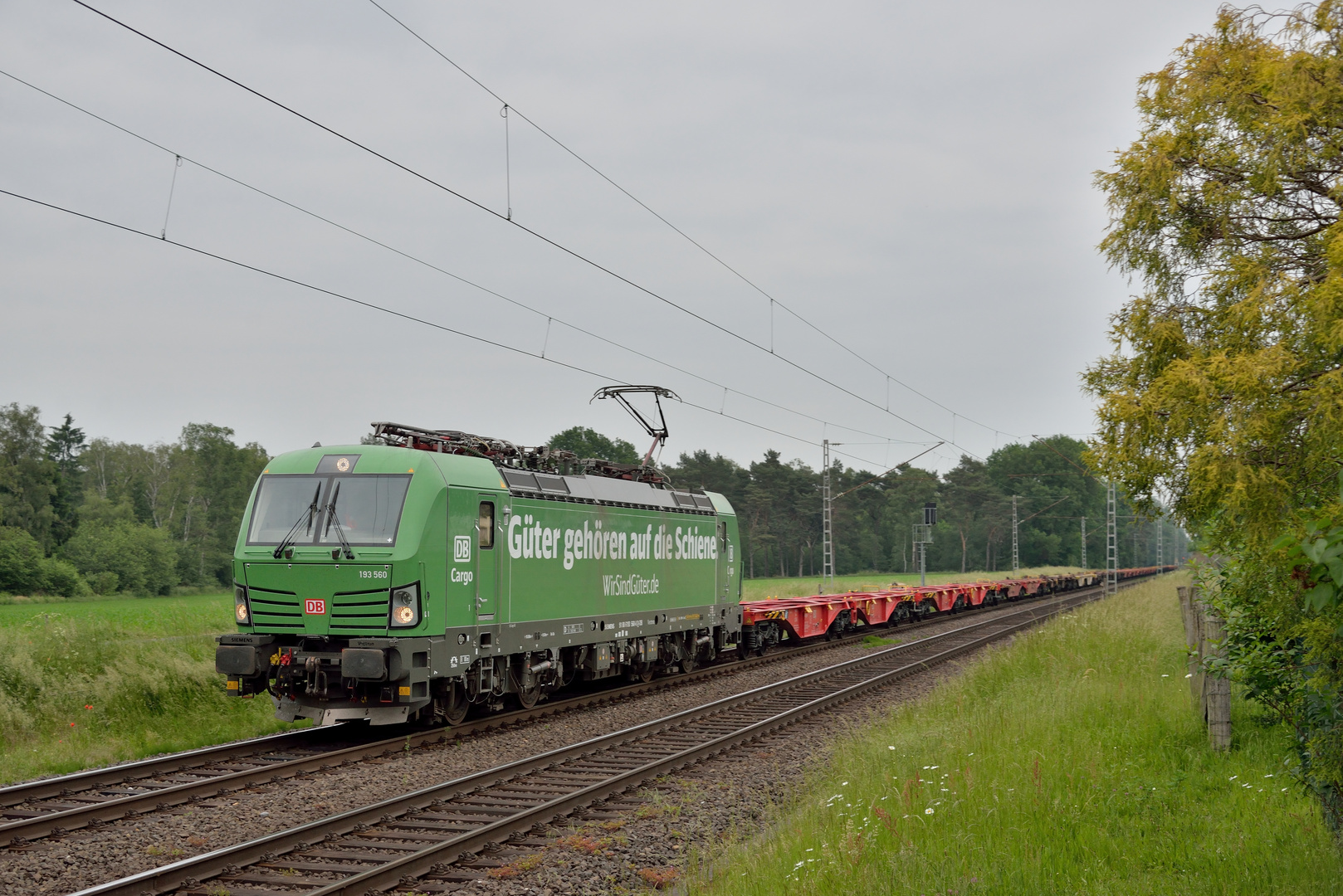 193 560 -- Güter gehören auf die Schiene-- am 07.06.21 in Hamm-Neustadt