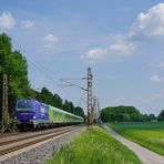 193 826-5 --Flixtrain Europa-- am 24.05.19 in Hamm-Selmig