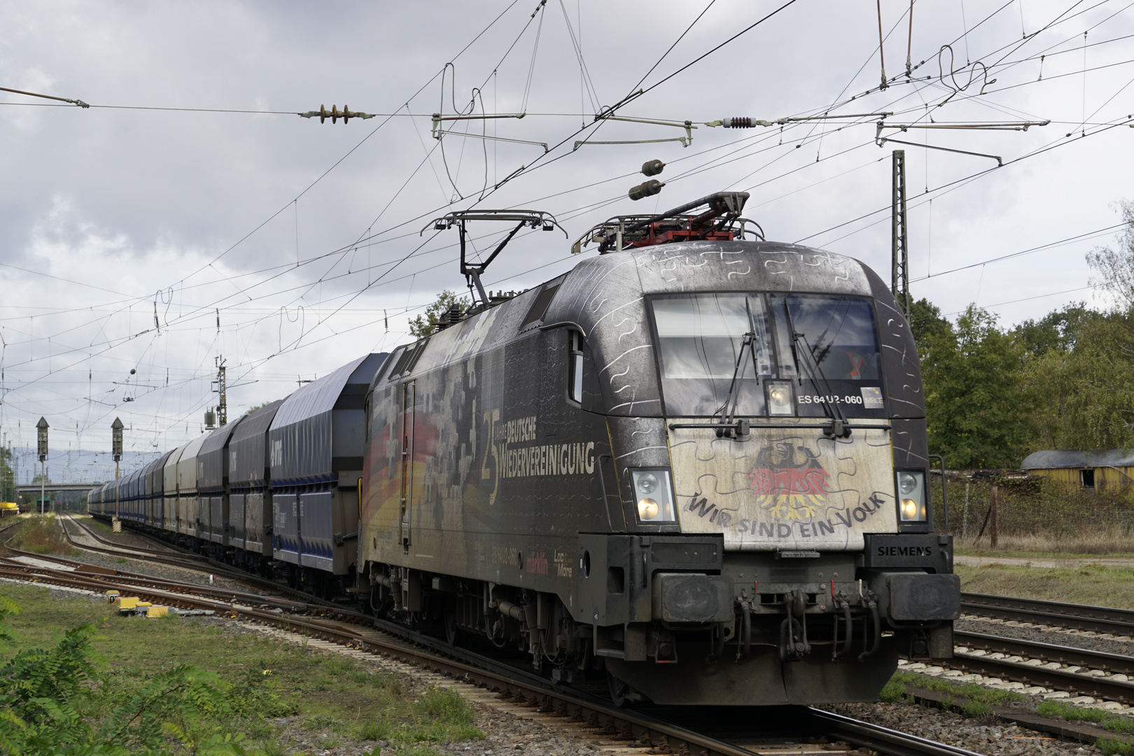 193 876 "Wir sind ein Volk" im Güterbahnhof Bischofsheim