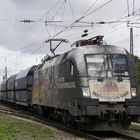 193 876 "Wir sind ein Volk" im Güterbahnhof Bischofsheim