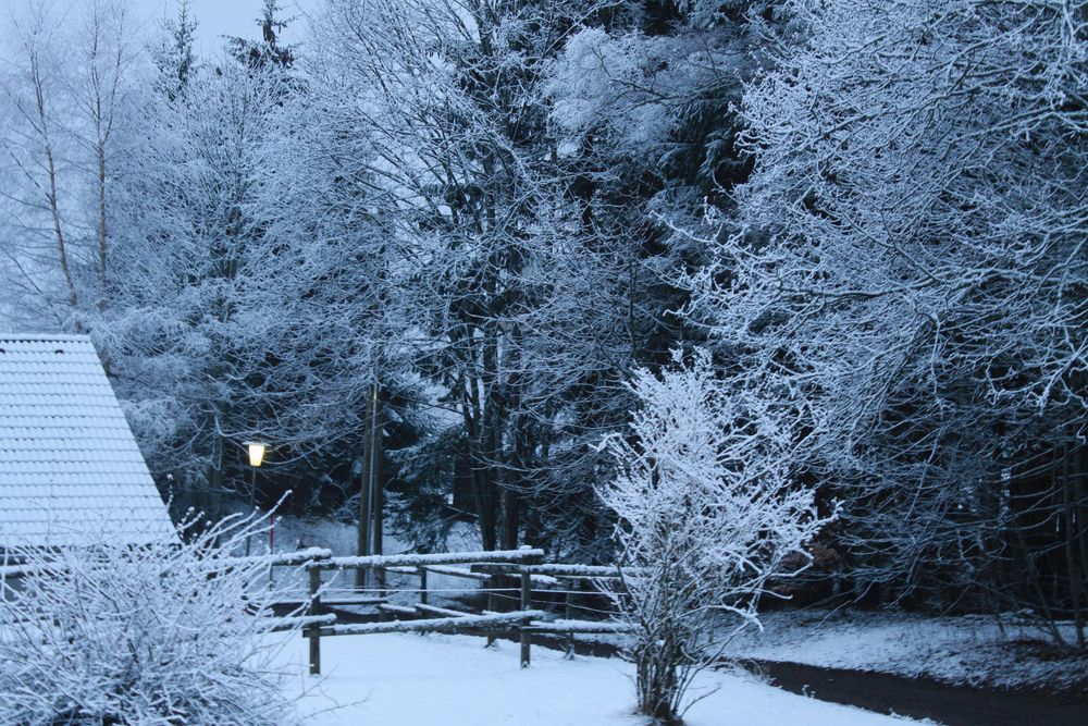 19.3.2012........Schnee zum Frühstück