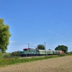 194 158-2 + 212 079-8 am Zugende --Museums Eisenbahn Hamm-- am 25.08.21 bei Süddinker