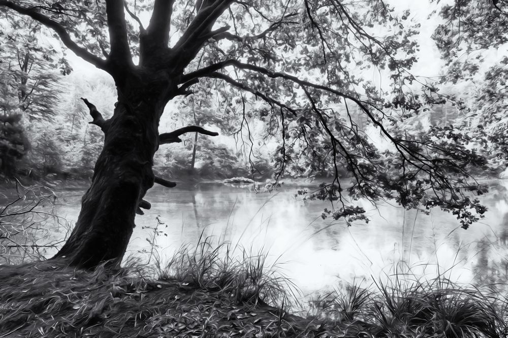 1946 ... der Baum am See ... 