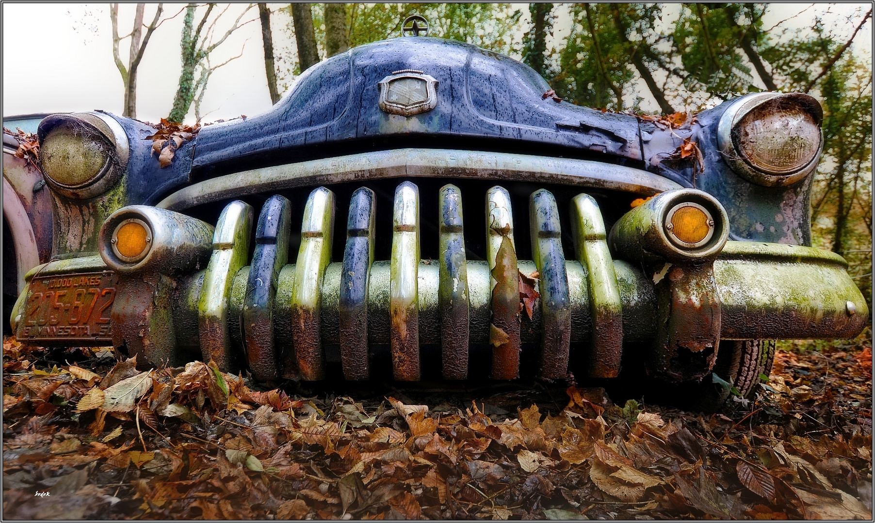 1950 Buick - Die betörende Schönheit des Verfalls 