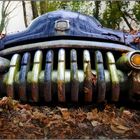 1950 Buick - Die betörende Schönheit des Verfalls 
