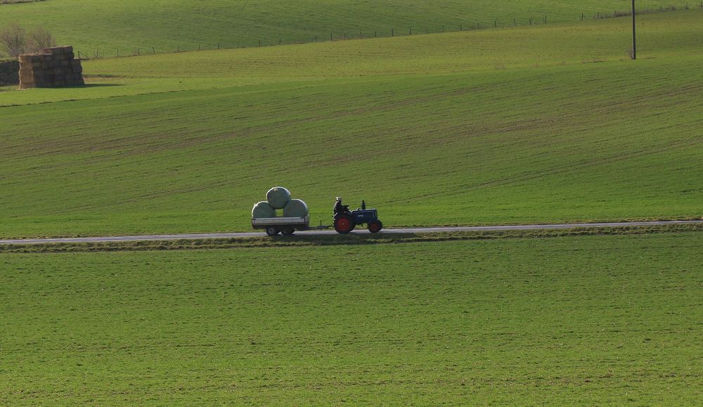 19545 Lifestyle auf dem Lande