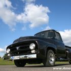 1955 Ford F-100