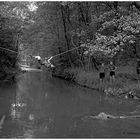 1957 Jugendzeltlager im Baybachtal-Hunsrück (1)