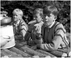 1957 Jugendzeltlager im Baybachtal-Hunsrück (41) An der Frühstücksbar