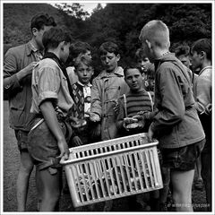 1957 Jugendzeltlager im Baybachtal-Hunsrück (51)