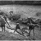 1957 Jugendzeltlager im Baybachtal-Hunsrück (9)