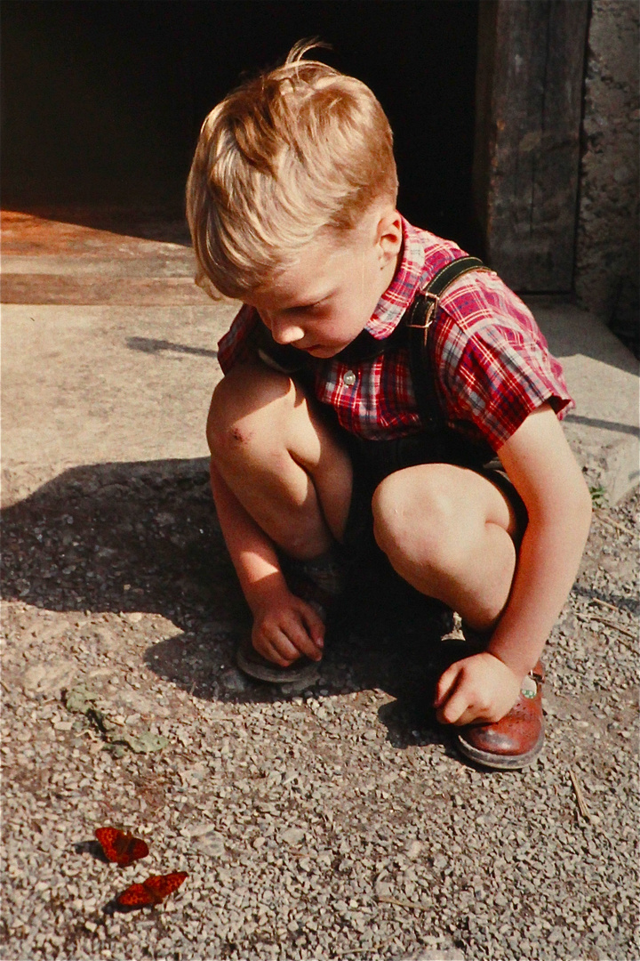 1958 - mit fünf Jahren - habe ich von meinem Vater schon einiges über die Natur erfahren.