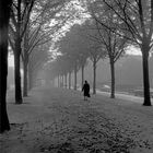 1965 Großstadt-Smog und Herbstnebel (1)