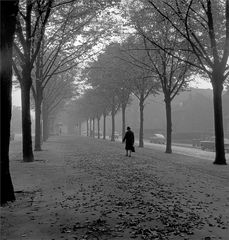 1965 Großstadt-Smog und Herbstnebel (1)