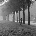 1965 Großstadt-Smog und Herbstnebel (2)