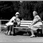 1966 An einem Sonntag im Stadtgarten Köln-Mülheim (1)Soweit die Füße tragen und die Schuhe nicht drü