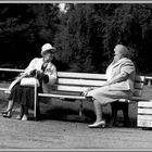 1966 An einem Sonntag im Stadtgarten Köln-Mülheim (5)