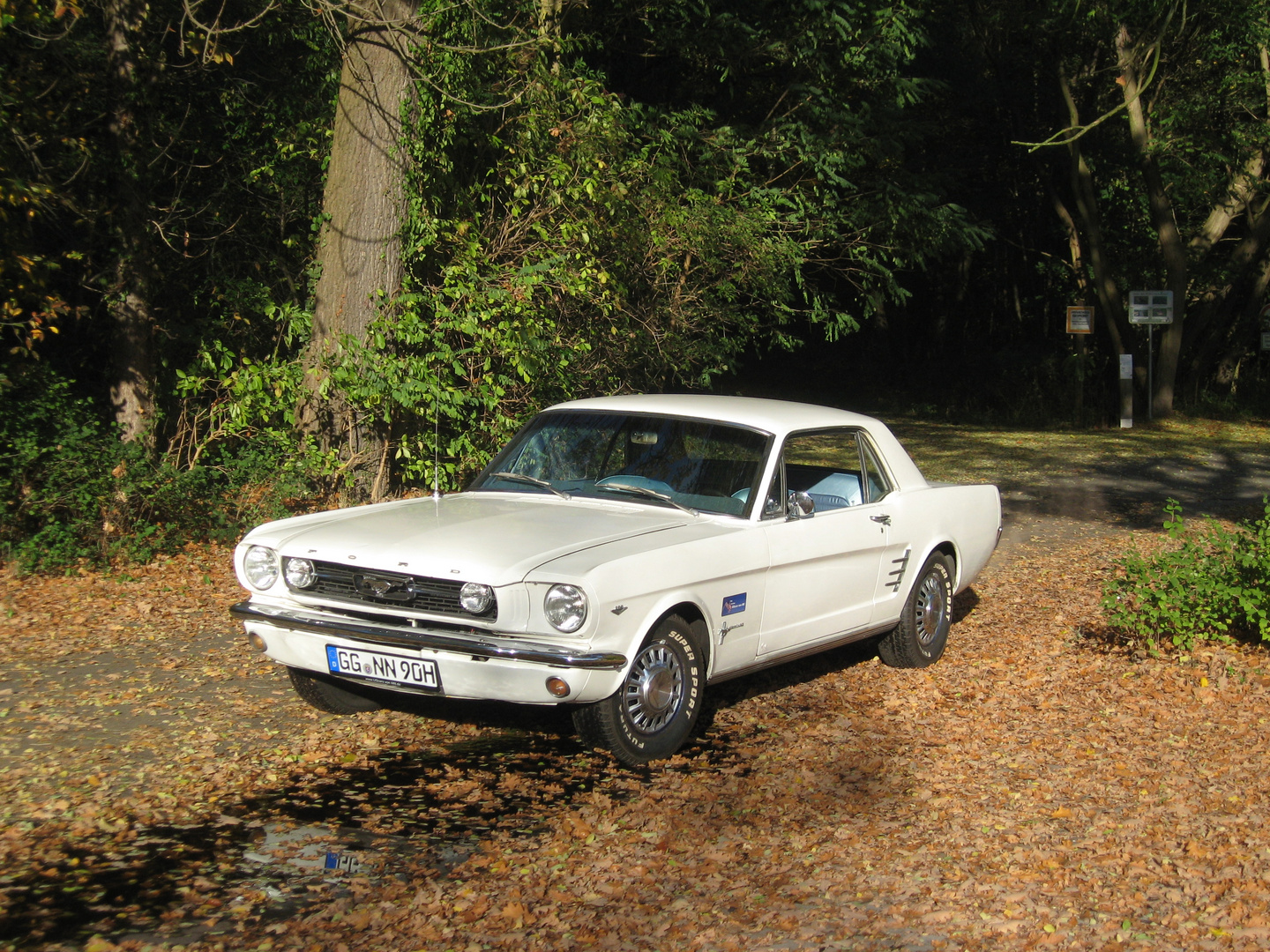 1966 FORD MUSTANG COUPE WHITE in D bei UScarsvonNN