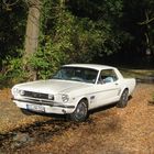 1966 FORD MUSTANG COUPE WHITE in D bei UScarsvonNN