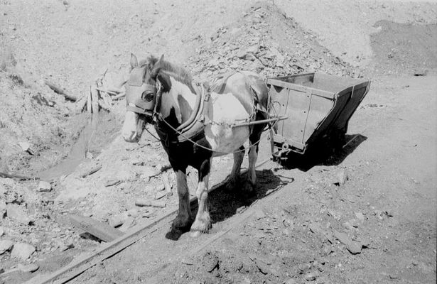 1966 in Recklinghausen