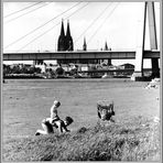 1966 Sommerfreuden am Rhein bei Köln -15-