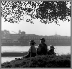 1966 Sommerfreuden am Rhein bei Köln -22-