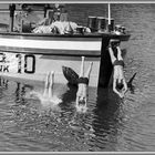 1966 Sommerfreuden am Rhein in Köln -6-