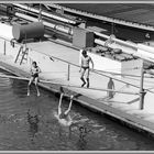 1966 Sommerfreuden am Rhein in Köln -8-