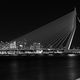 Erasmusbrcke Rotterdam bei Nacht
