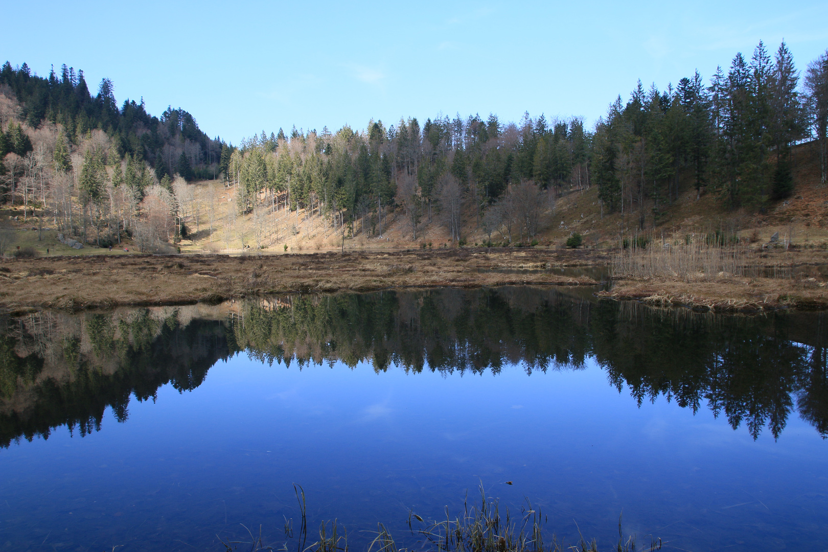 19707 wunderschöner Nonnenmattweiher