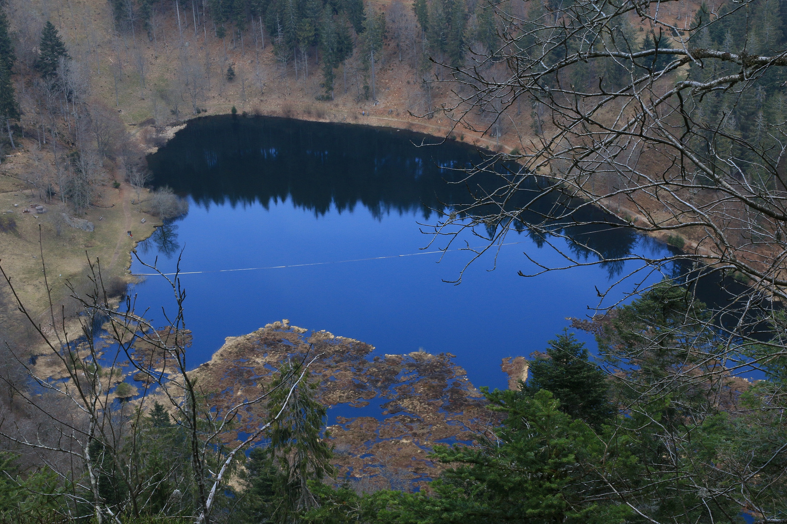 19711 Naturschutzgebiet Nonnenmattweiher von oben