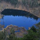 19711 Naturschutzgebiet Nonnenmattweiher von oben