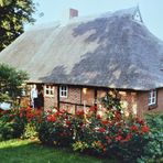 1979 - Fachwerk-Bauernhaus meines Stiefvaters von 1823, das er selbst restaurierte & Ich - I