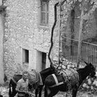 1980 C'era una volta in Abruzzo.