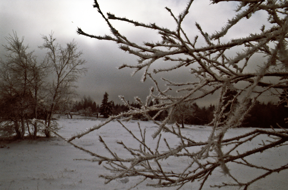 1982 Sauerland 1