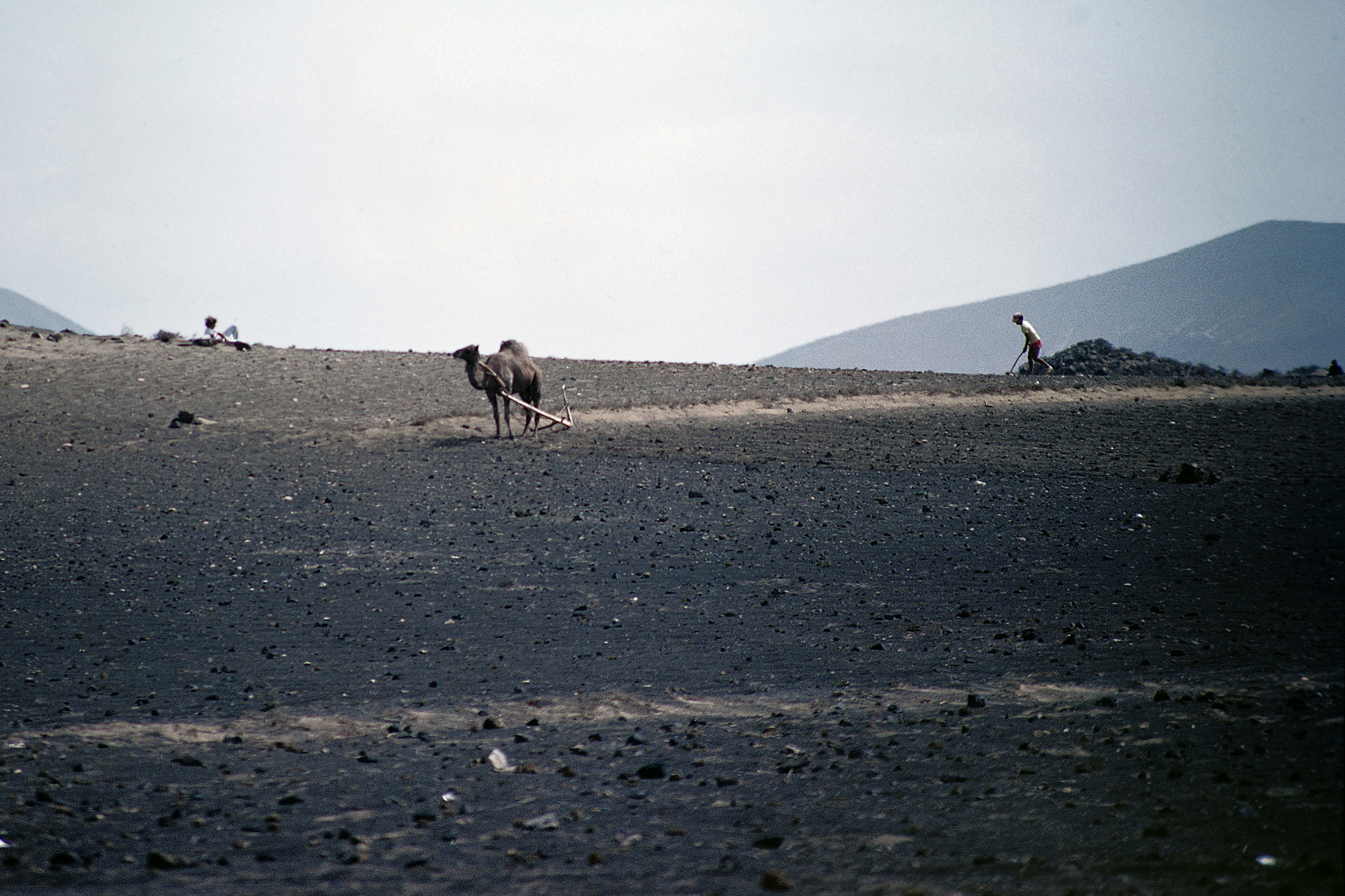 1983 Lanzarote