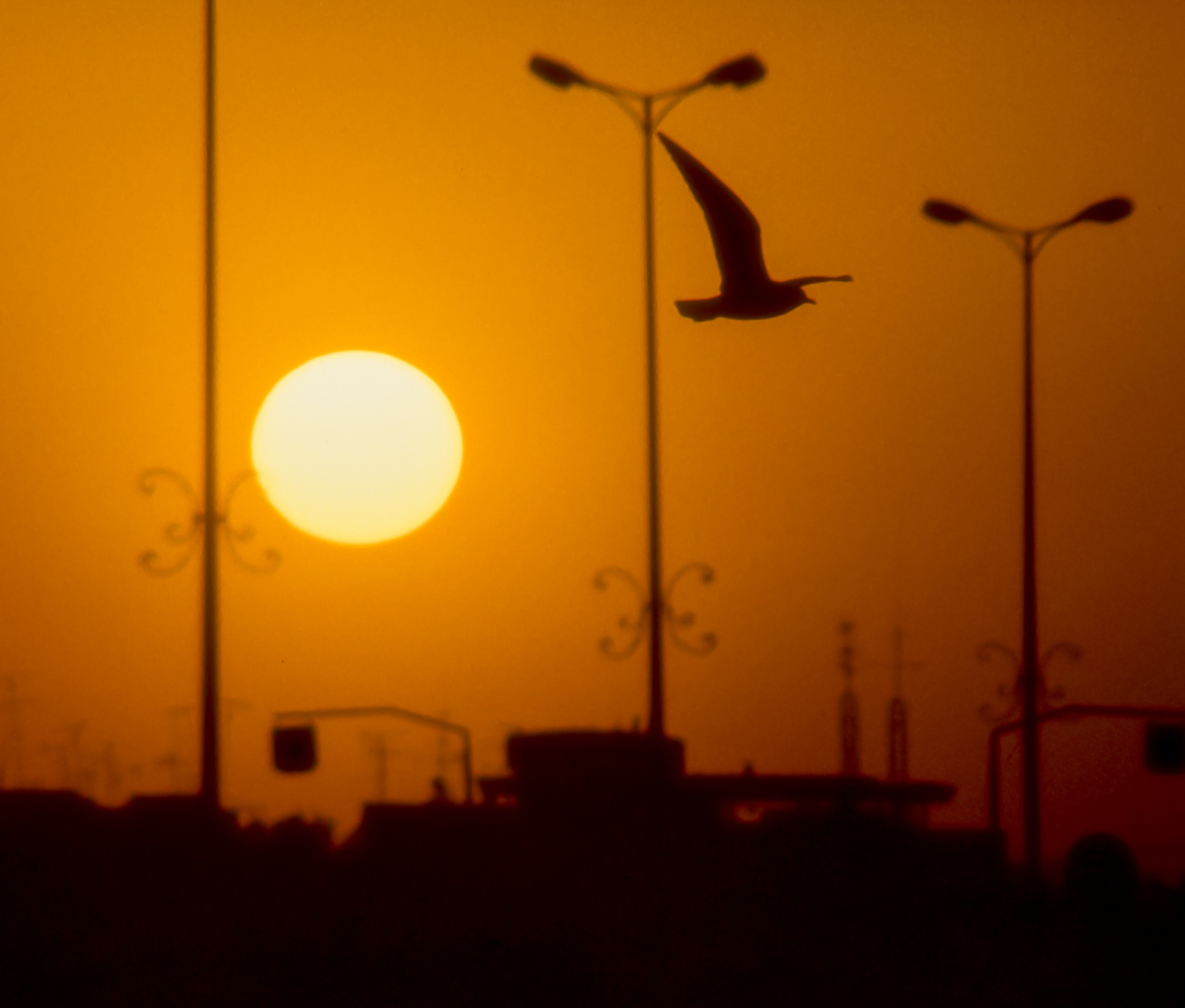 1983/84 Kuwait City Straßenlampen mit Möve