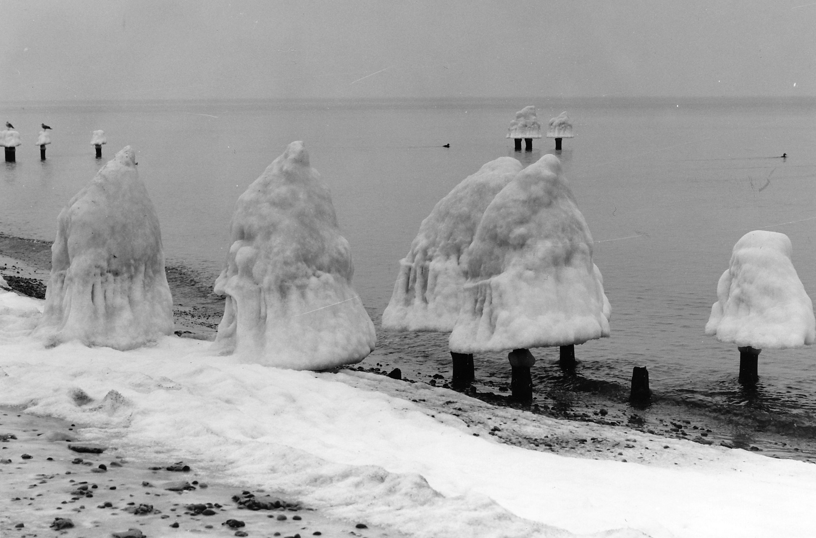 1986. Winter an der Ostsee in Heiligendamm.